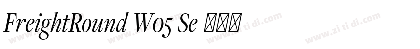 FreightRound W05 Se字体转换